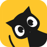 莔宝app
