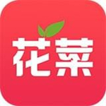 花菜下载