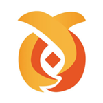 城市贷app
