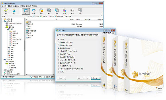 navicat premium 64位破解版 v12.1.16.0 中文版图1