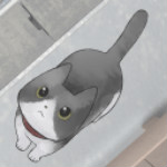 迷途猫app