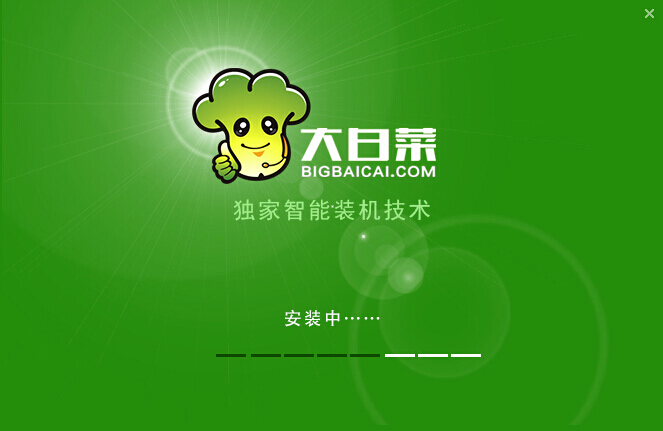 大白菜u盘启动制作工具下载 v8.0.17.522 免费版图1