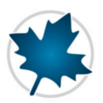 maple2018破解版下载