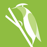 绿网潇湘app