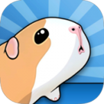 豚鼠和桥梁 v1.5.8 手游版 