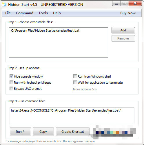 Hidden Start(后台执行工具) V4.5 官方版图1