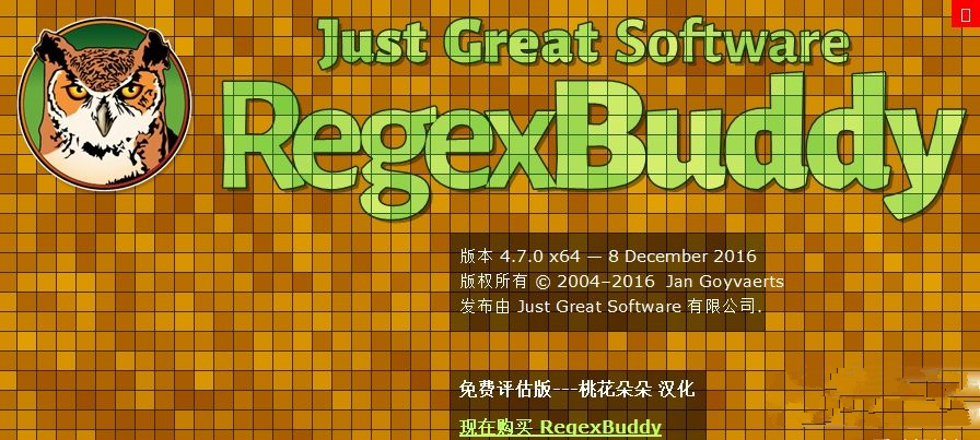 正则表达式测试工具(RegexBuddy)