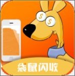袋鼠闪收下载 v1.0 安卓版 