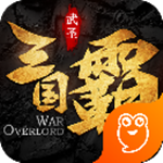 三国霸安卓版