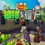 植物大战僵尸长城版