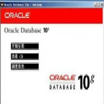 oracle 10g 64位下载