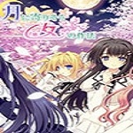 近月少女的礼仪 免安装中文版
