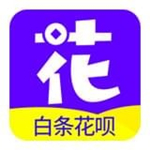 白条花呗 v1.0.2 安卓版