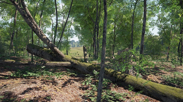 丛林地狱中文版下载 免安装版图4