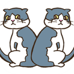 寻找猫的错误安卓版