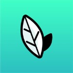 爱泡茶app