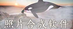 照片合成软件大全