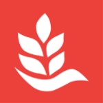 麦芽乐英语手机版