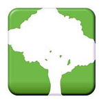 SpeedTree