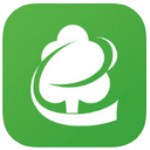 木材码头app