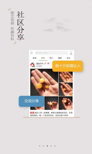 龙巅藏品手机版