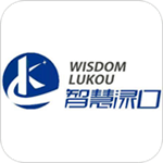 智慧渌口官方版