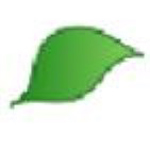 ngPlant
