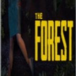 The Forest修改器