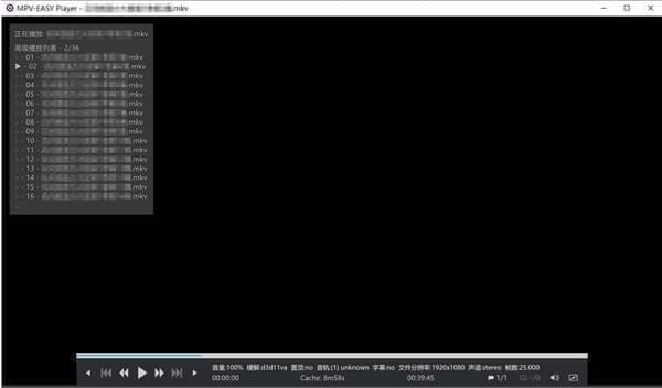 MPV-EASY Player官方下载 v0.29.1.14 最新版图3