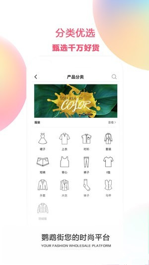 鹦鹉街 v1.0.12 安卓版图2