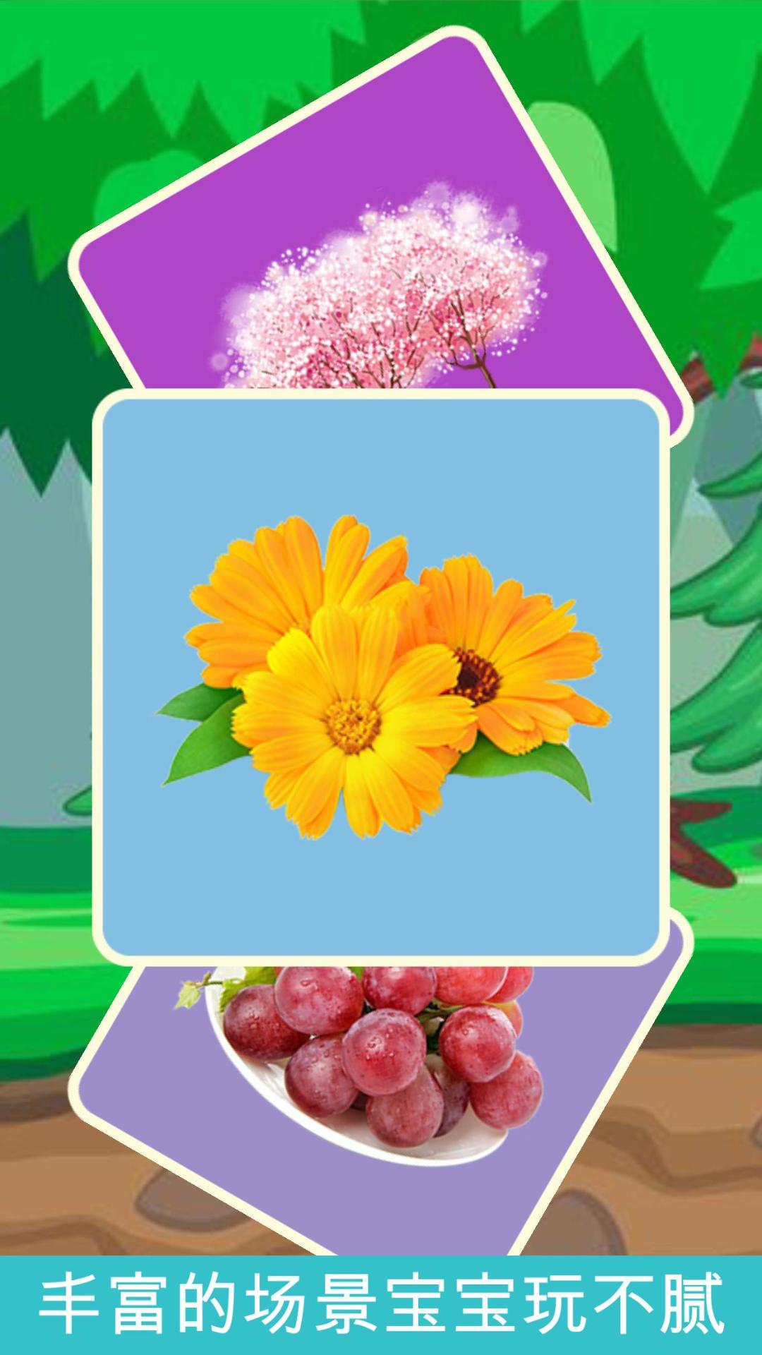 儿童拼图植物园 v1.1.0 安卓版图3