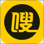 嗖嗖买车