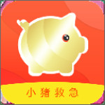 小猪救急