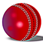 HitCricket手游