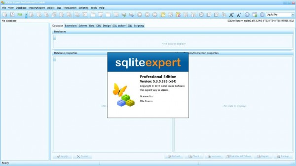sqlite expert professional中文版 v5.3.3.402 破解版图6