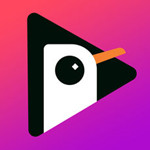 海鸥看世界app