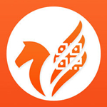 飞码导购app