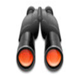 p2psearcher