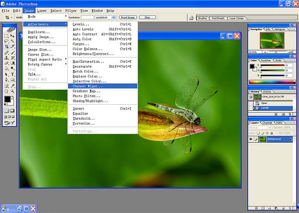 Adobe Photoshop CS 8.0 中文绿色精简版图2