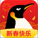 企鹅体育直播
