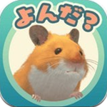 小小仓鼠
