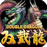 格斗双截龙