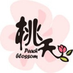 桃夭阅读安卓版