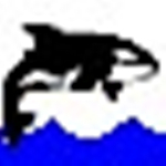 orca