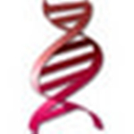 Oligo