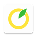 柚子单词app下载