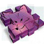 vfp(Visual FoxPro) v6.0 经典版 