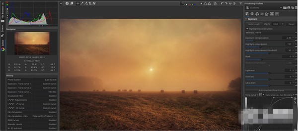 RawTherapee中文版 v5.6.0 mac版图1