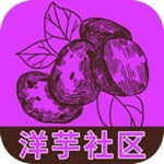洋芋社区app