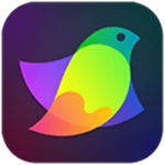 Amadine下载 v0.9.7 mac版 